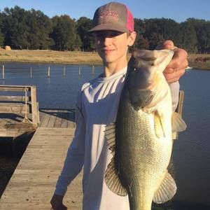 Meet your Posher, Drew